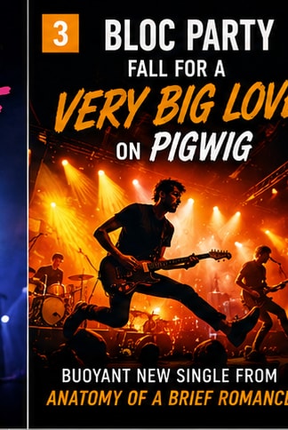 Bloc Party buoyant new single Pigwig single cover.
