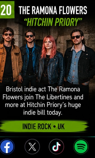 The Ramona Flowers band members outside Hitchin Priory estate.