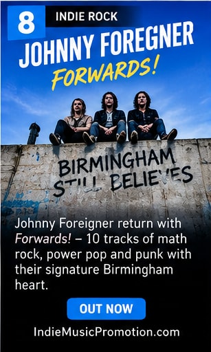 Johnny Foreigner live photo.