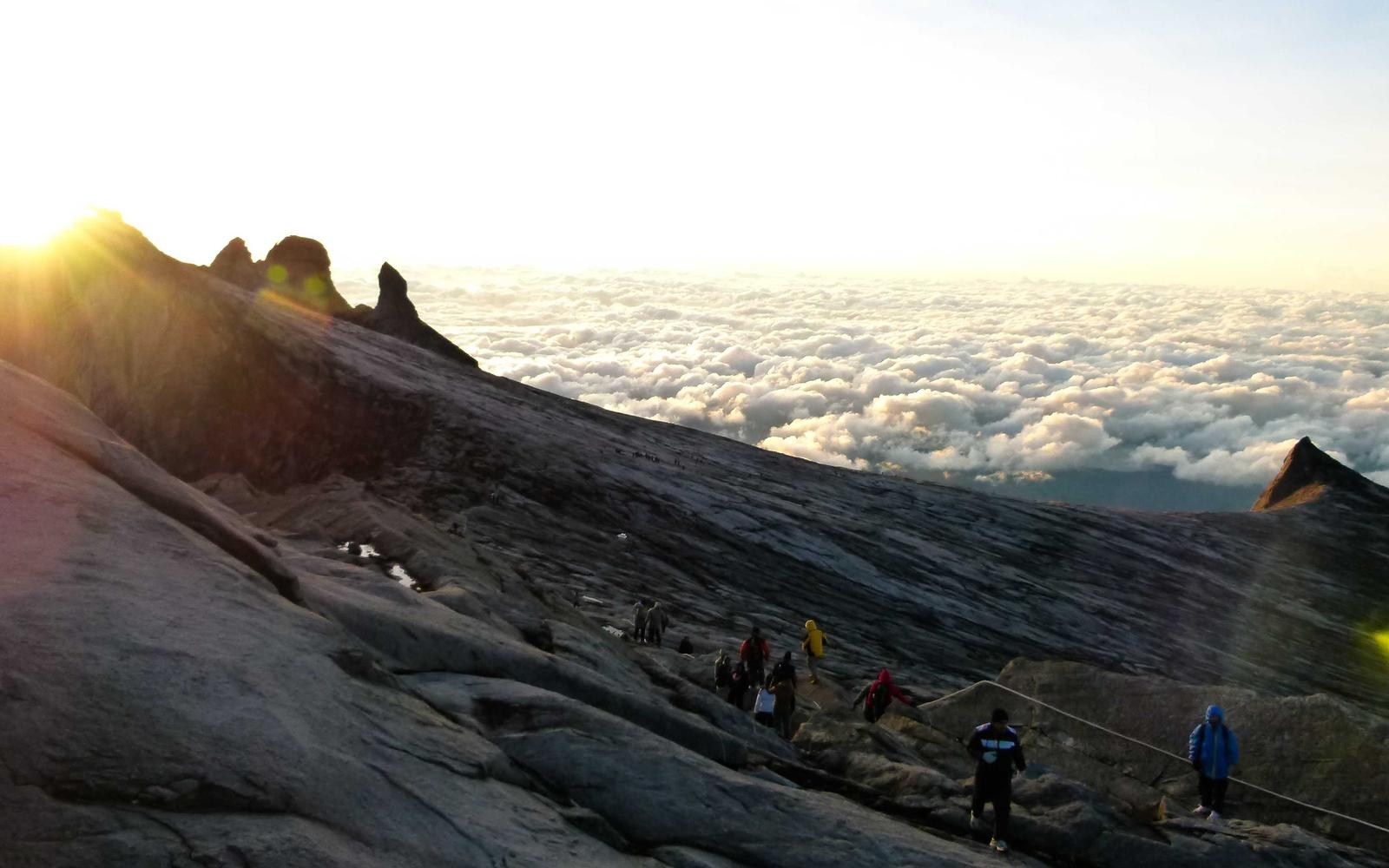 Eddie Dark's TOUCH MY ELEKTRONIKS Is Electro-Metal Chaos With Fangs