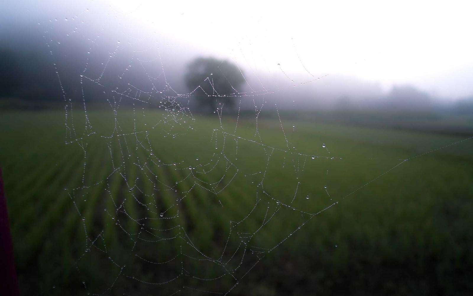 The Mellos Return With MALAKAIMELLO and Zero Respect for Calm